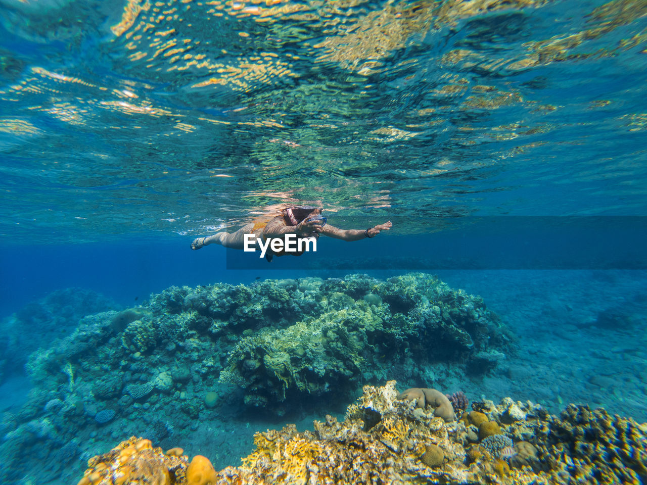 Woman snorkeling in sea