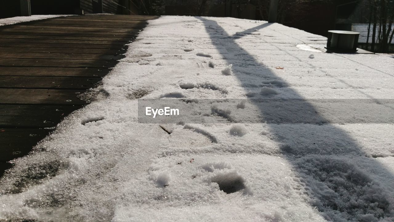 SHADOW OF BIRD ON SNOW COVERED ROAD