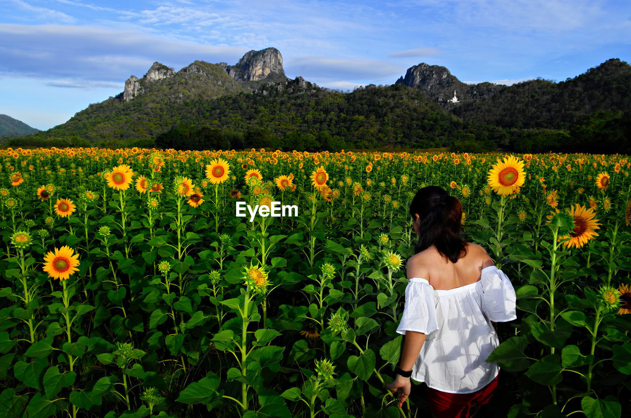 Rear view of woman standing on field against sky