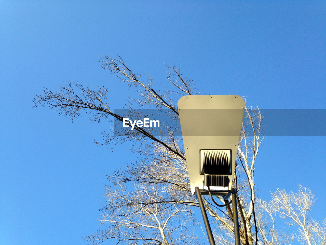 LOW ANGLE VIEW OF BARE TREES AGAINST CLEAR BLUE SKY