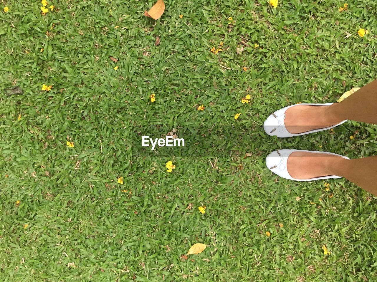 LOW SECTION OF WOMAN STANDING ON GREEN FIELD