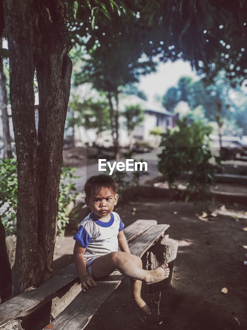 Full length portrait of boy sitting bench by tree