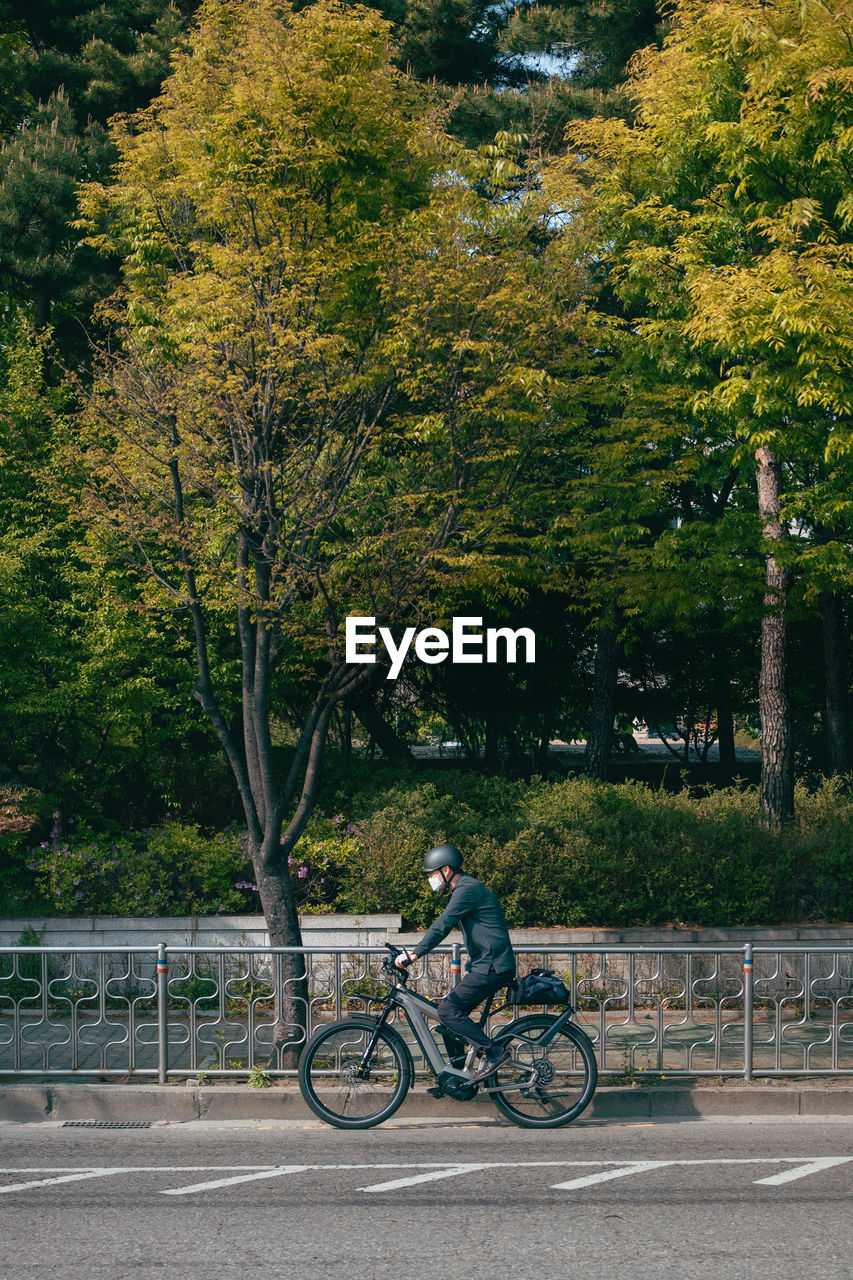 MAN RIDING BICYCLE ON ROAD AMIDST TREES