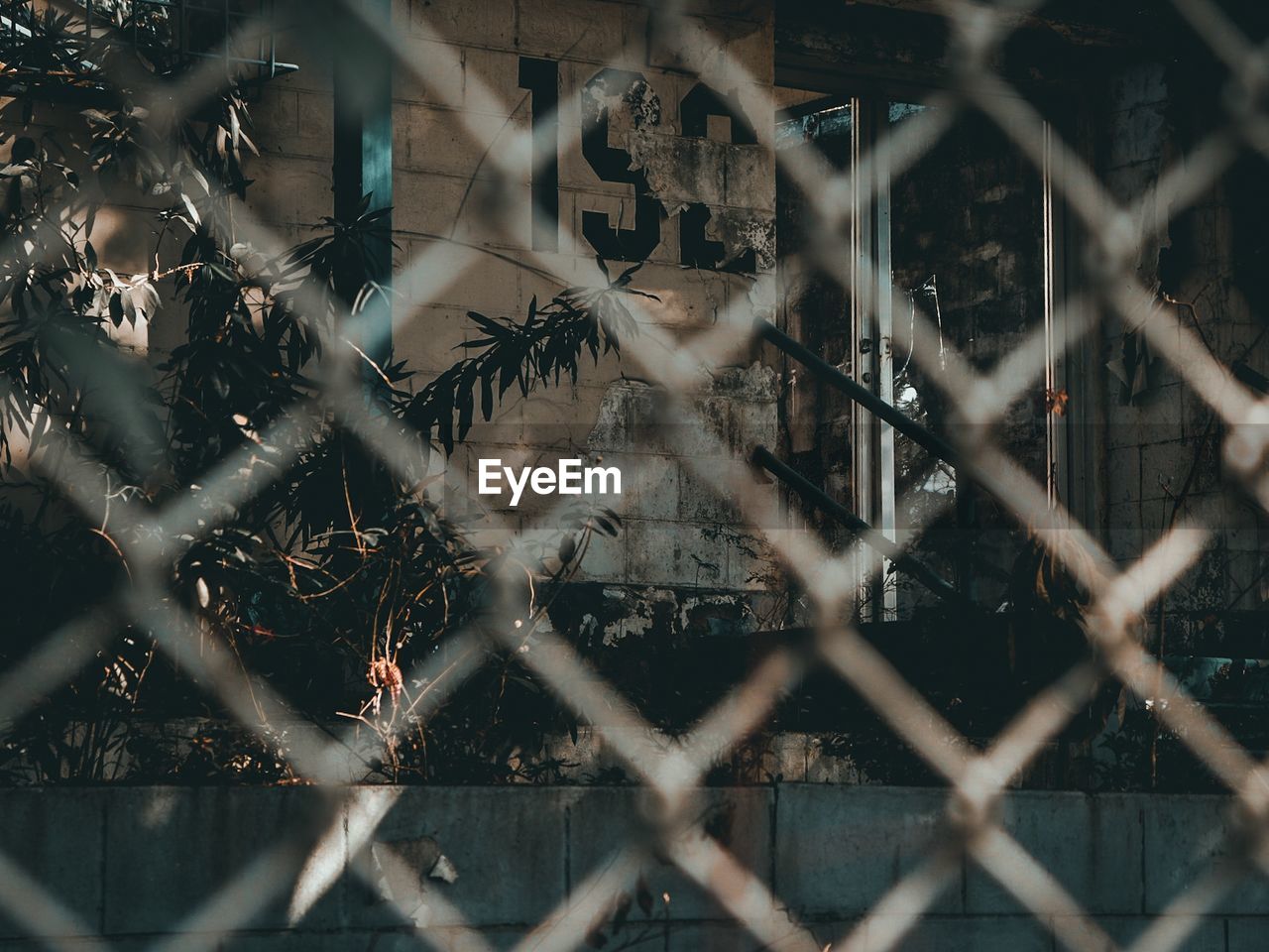 FULL FRAME SHOT OF CHAINLINK FENCE WITH PLANTS