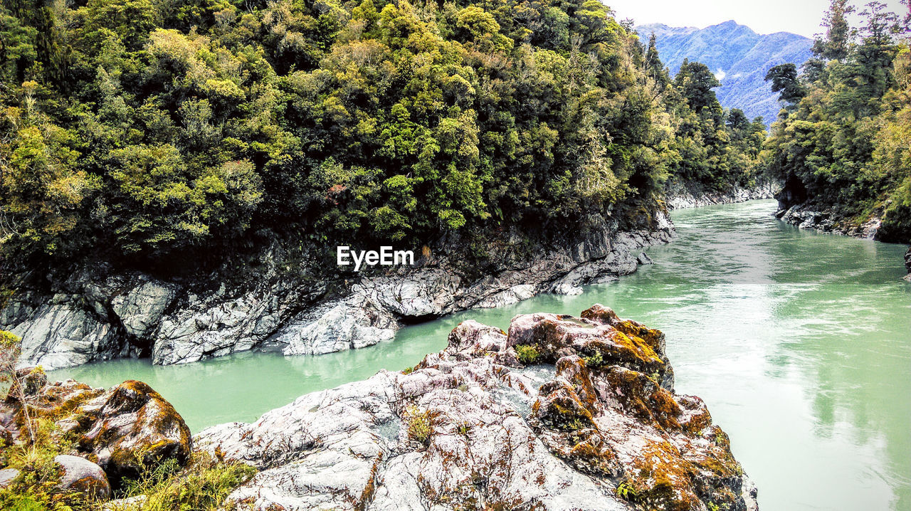 SCENIC VIEW OF WATERFALL