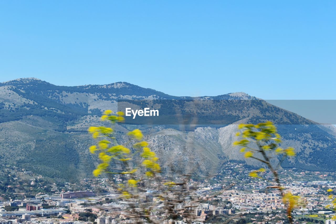 SCENIC VIEW OF YELLOW AND MOUNTAINS AGAINST CLEAR BLUE SKY