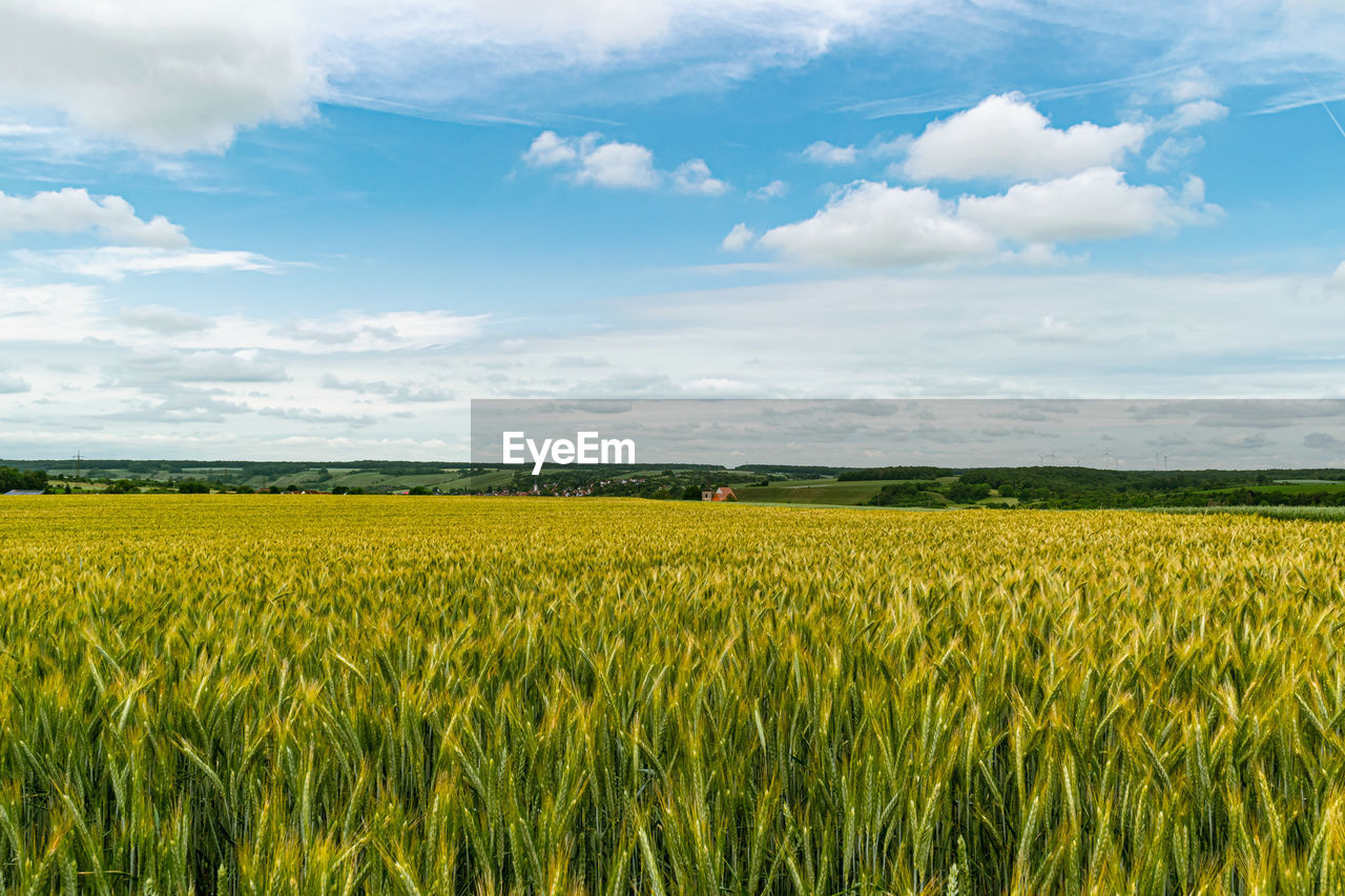 SCENIC VIEW OF AGRICULTURAL FIELD