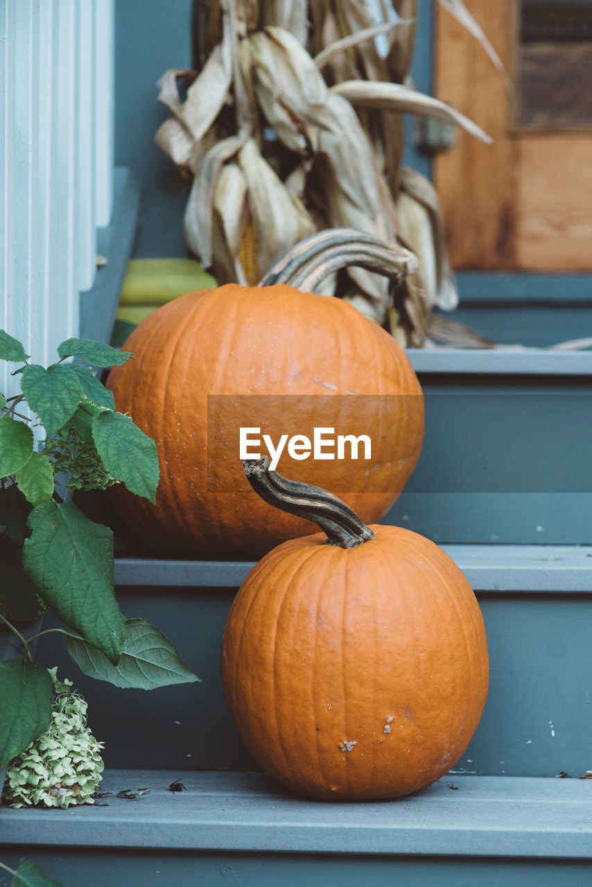 Close-up of pumpkins on steps