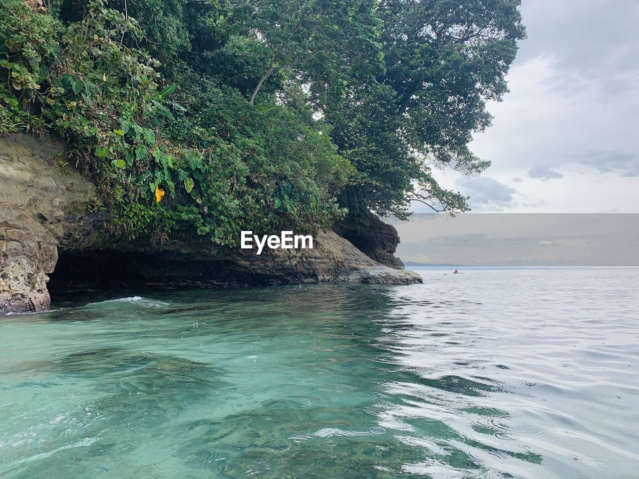 SCENIC VIEW OF SEA AGAINST TREES