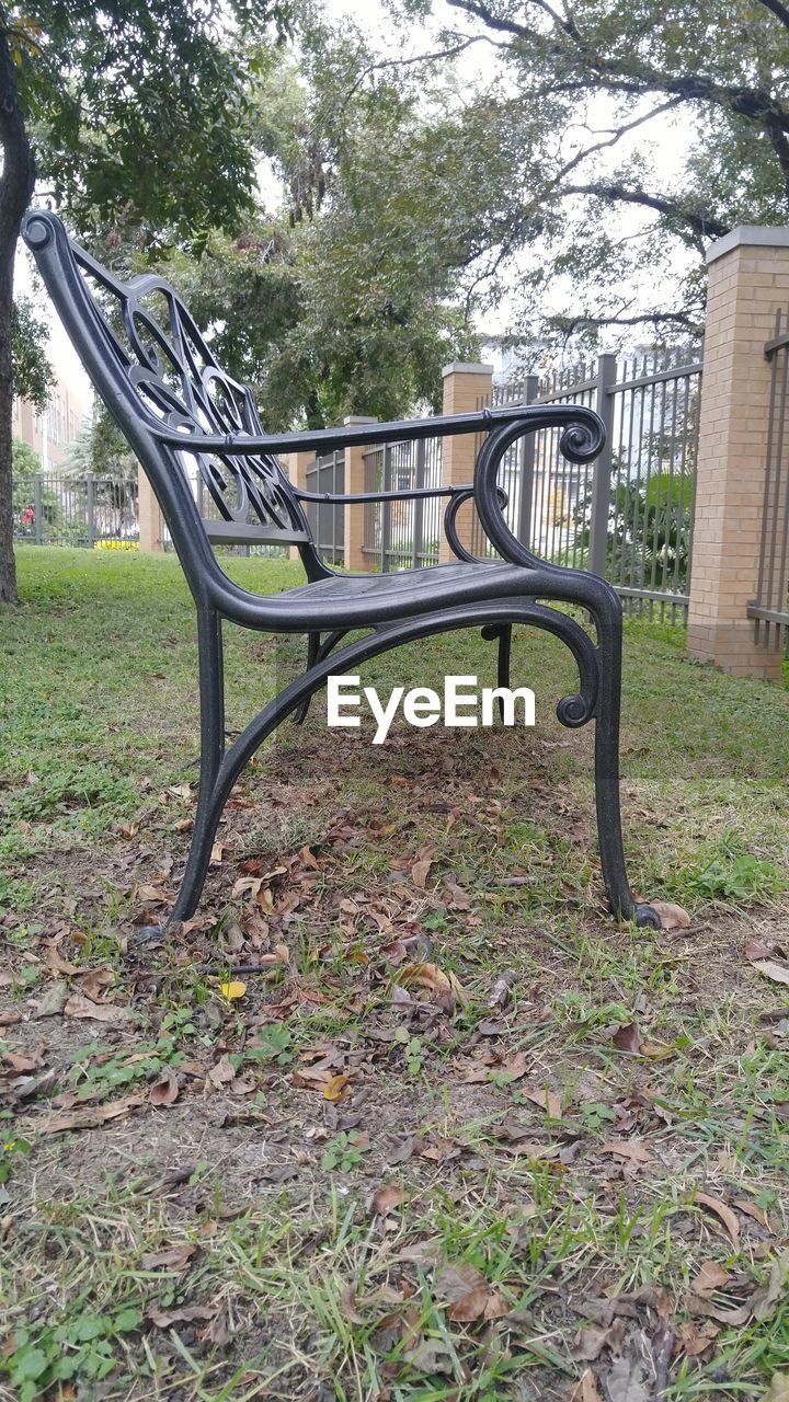 EMPTY PARK BENCH IN PARK