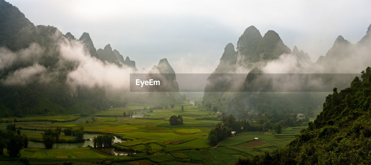 Panoramic view of agricultural field against sky