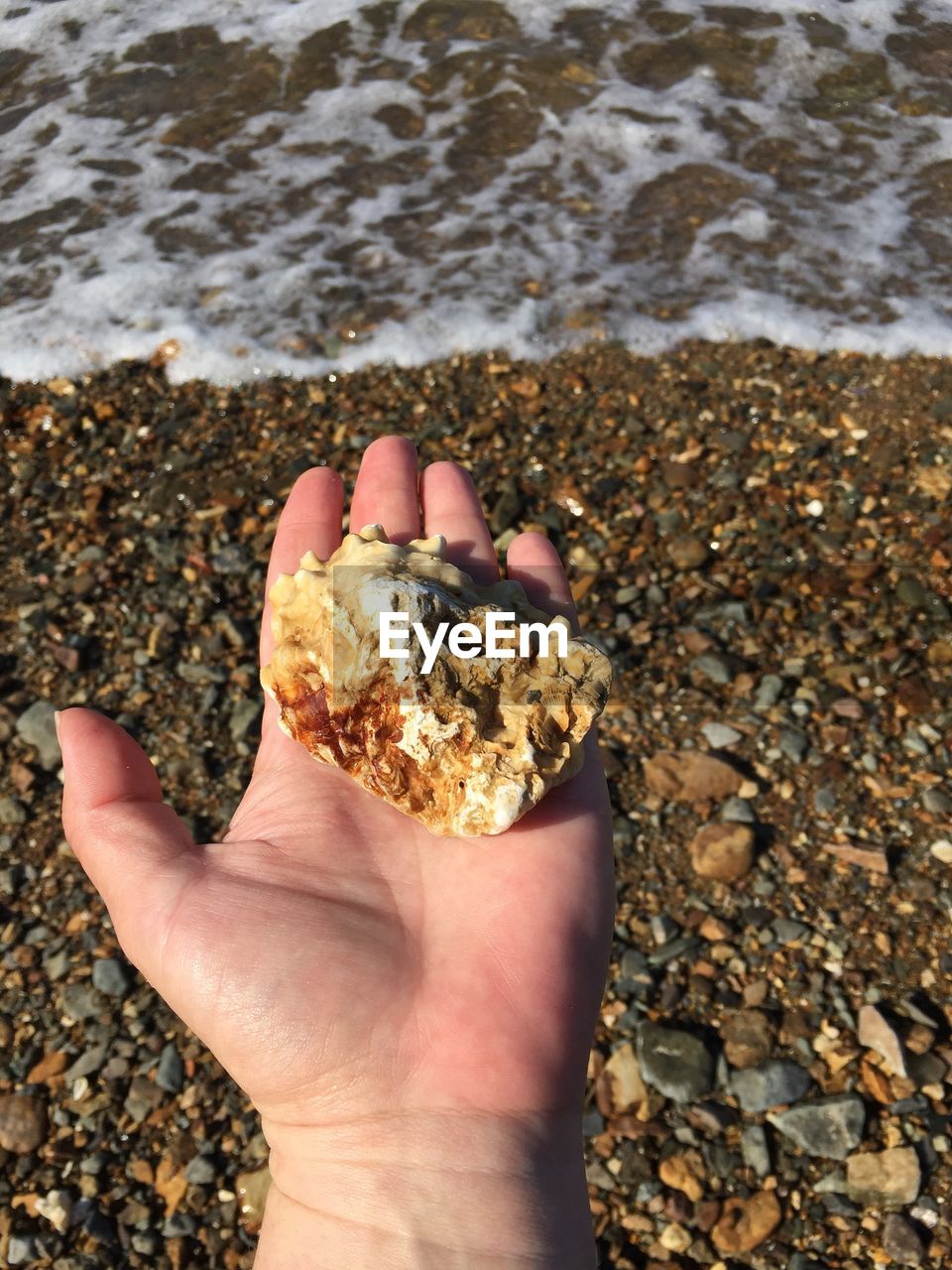 LOW SECTION OF PERSON HOLDING PEBBLES ON BEACH