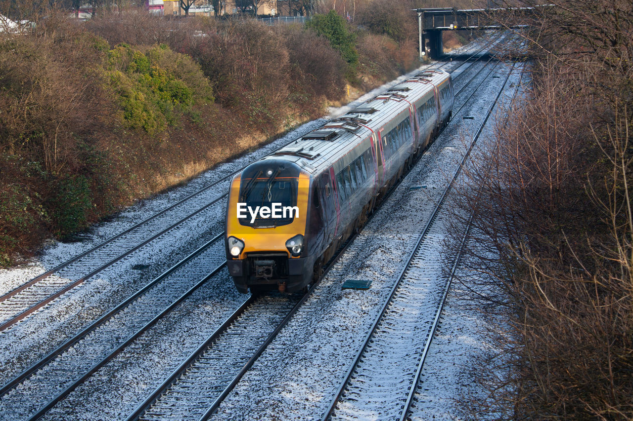 TRAIN ON RAILROAD TRACK BY TREES