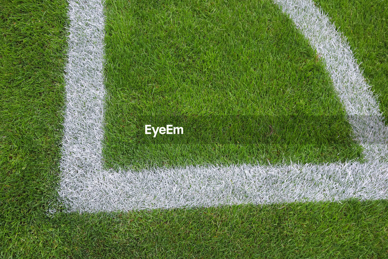 HIGH ANGLE VIEW OF SOCCER FIELD AND PLANTS