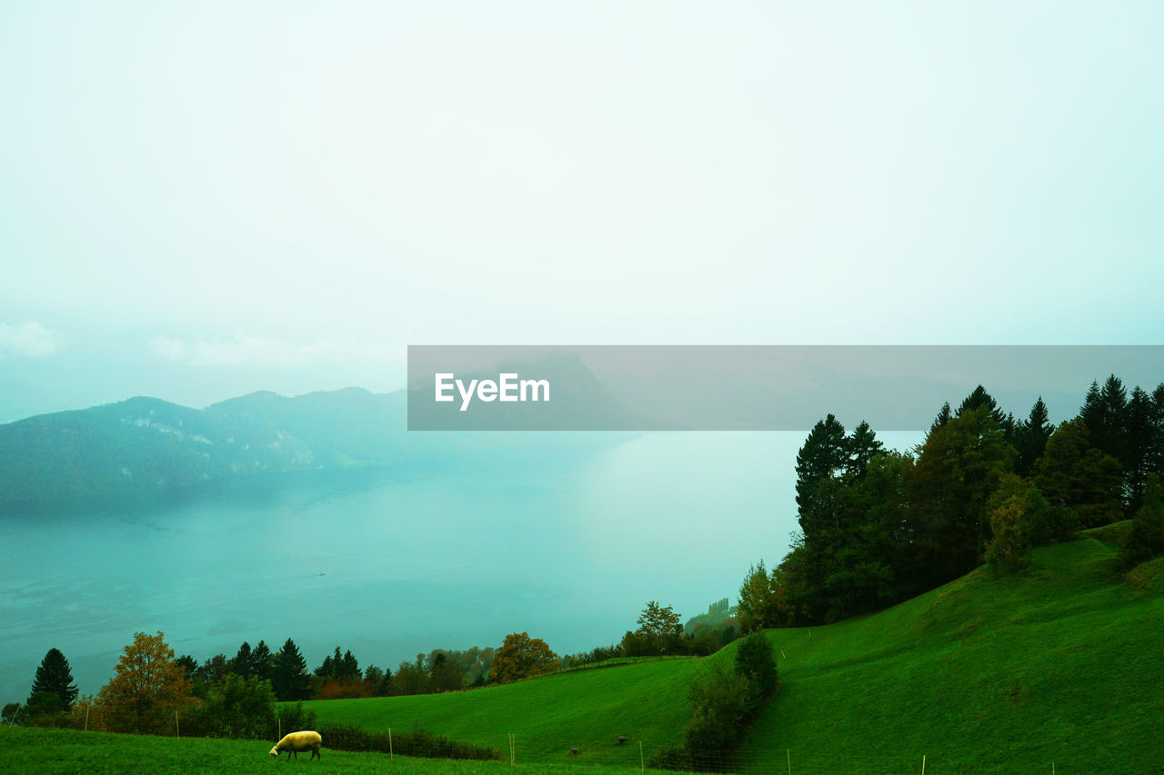 Scenic view of field and mountains against sky