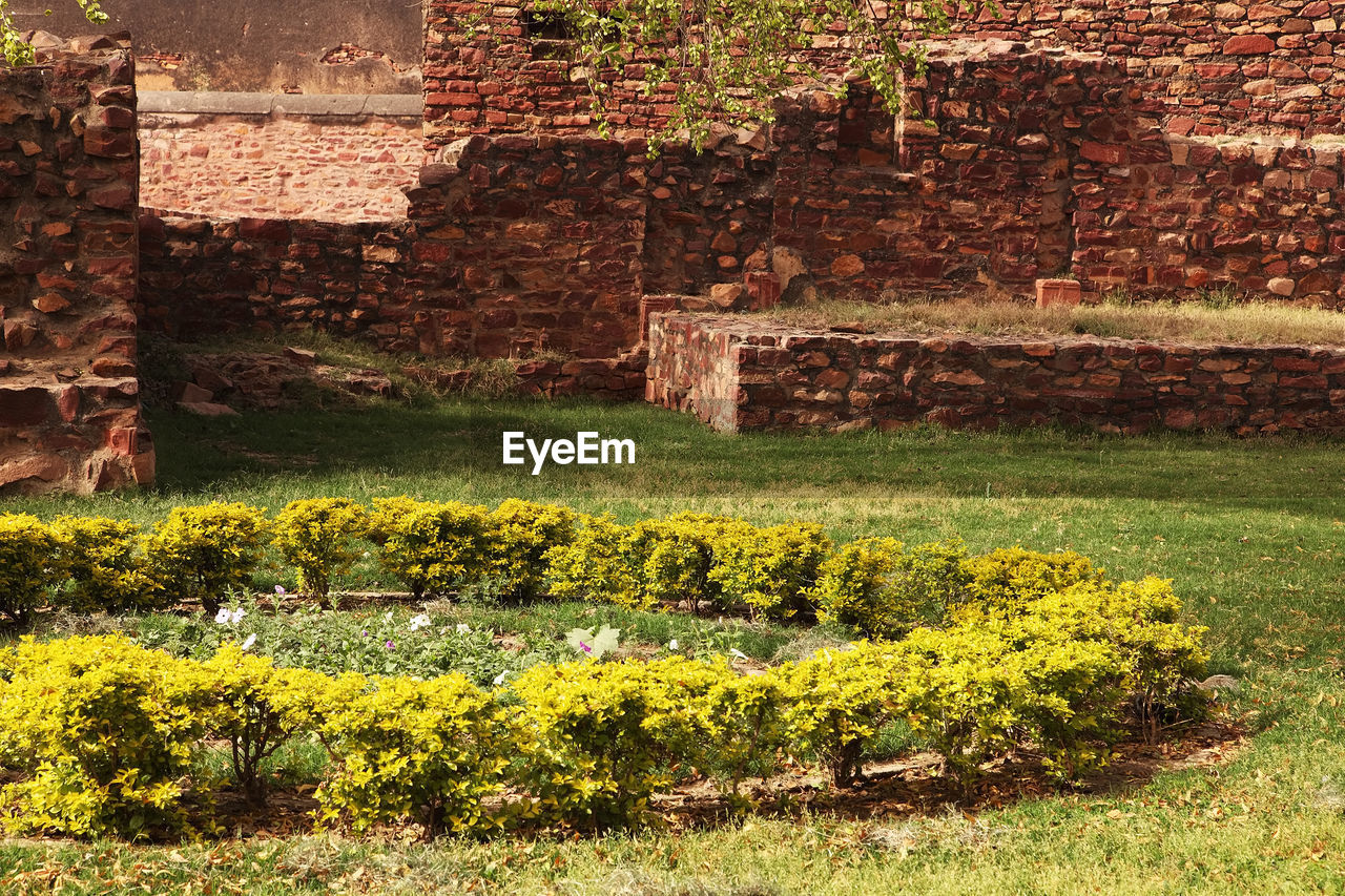 Plants growing on field by stone wall at historic place