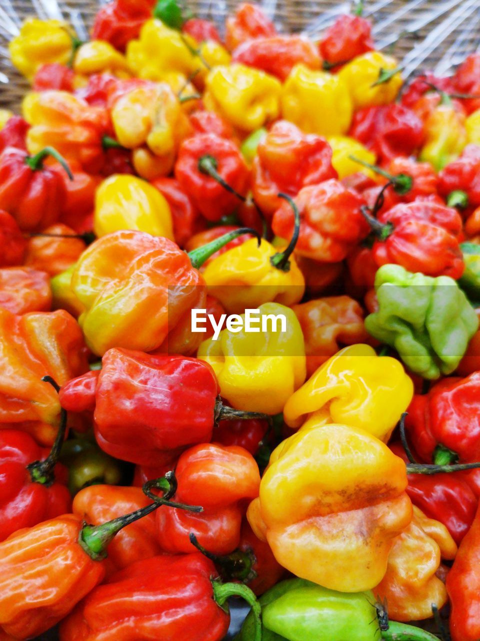 Full frame shot of chilli vegetables