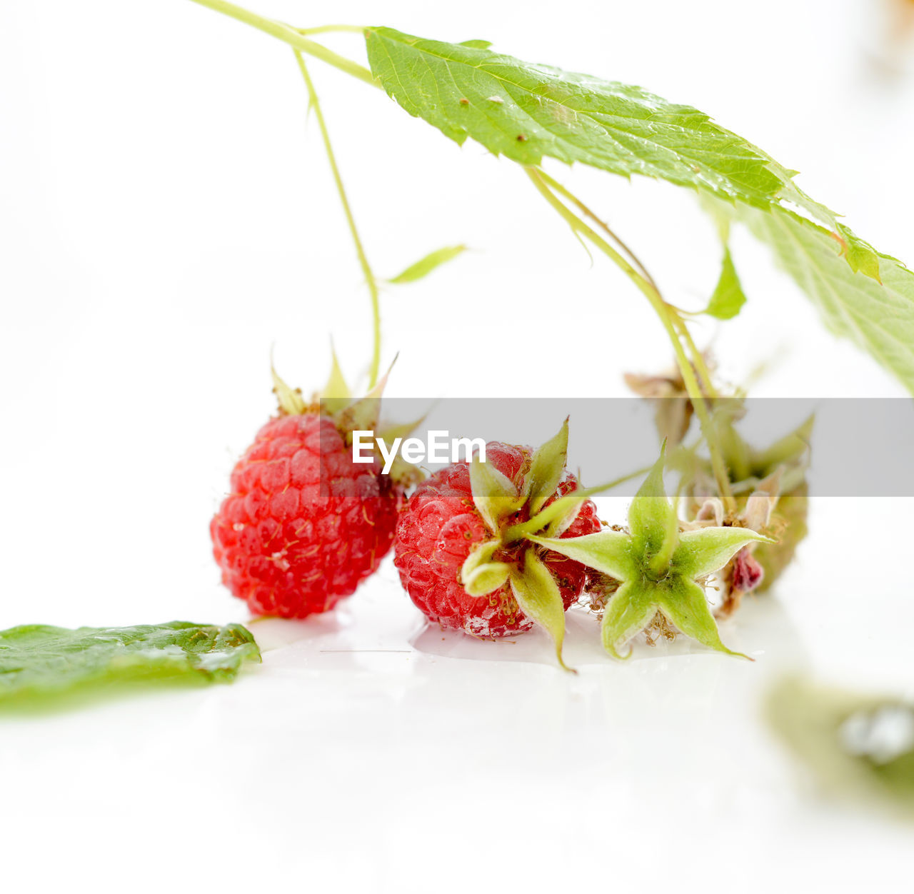 Close-up of raspberries on white background