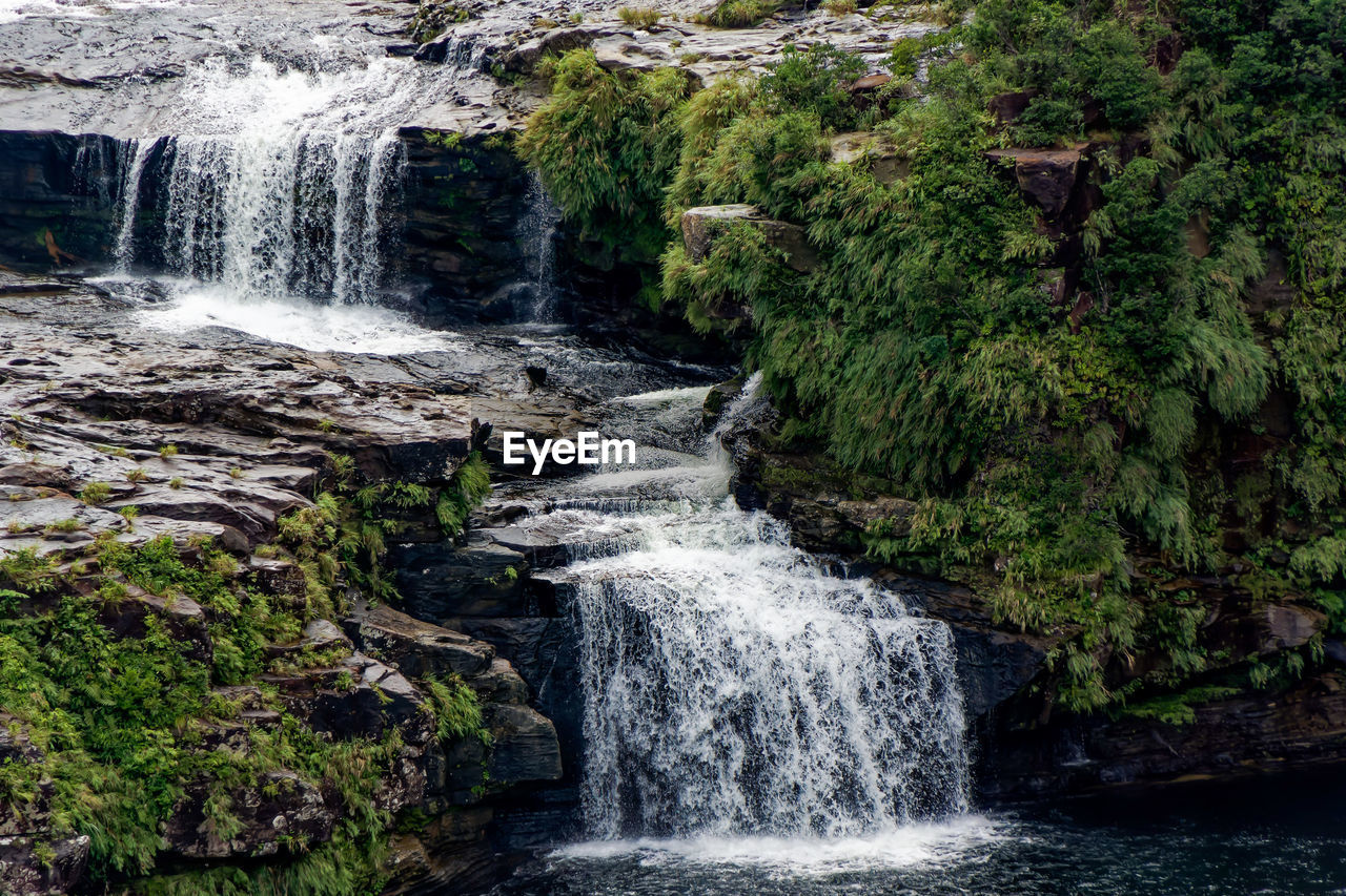 Scenic view of waterfall in forest