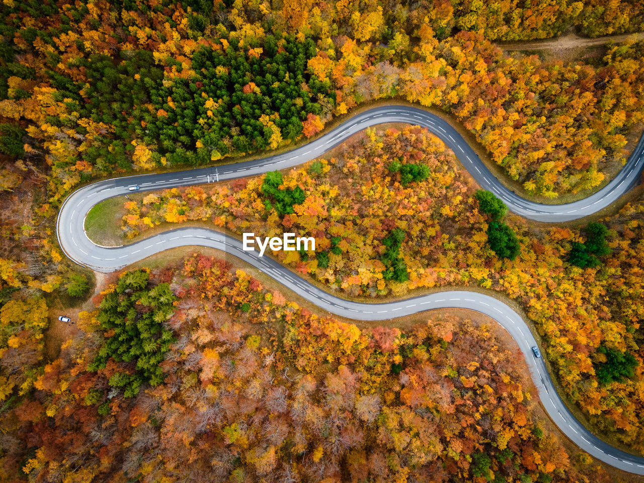 Aerial view of a road winding in the forest at fall