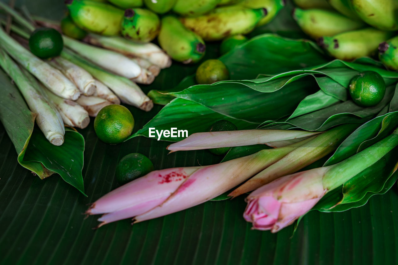 CLOSE-UP OF VEGETABLES ON LEAVES