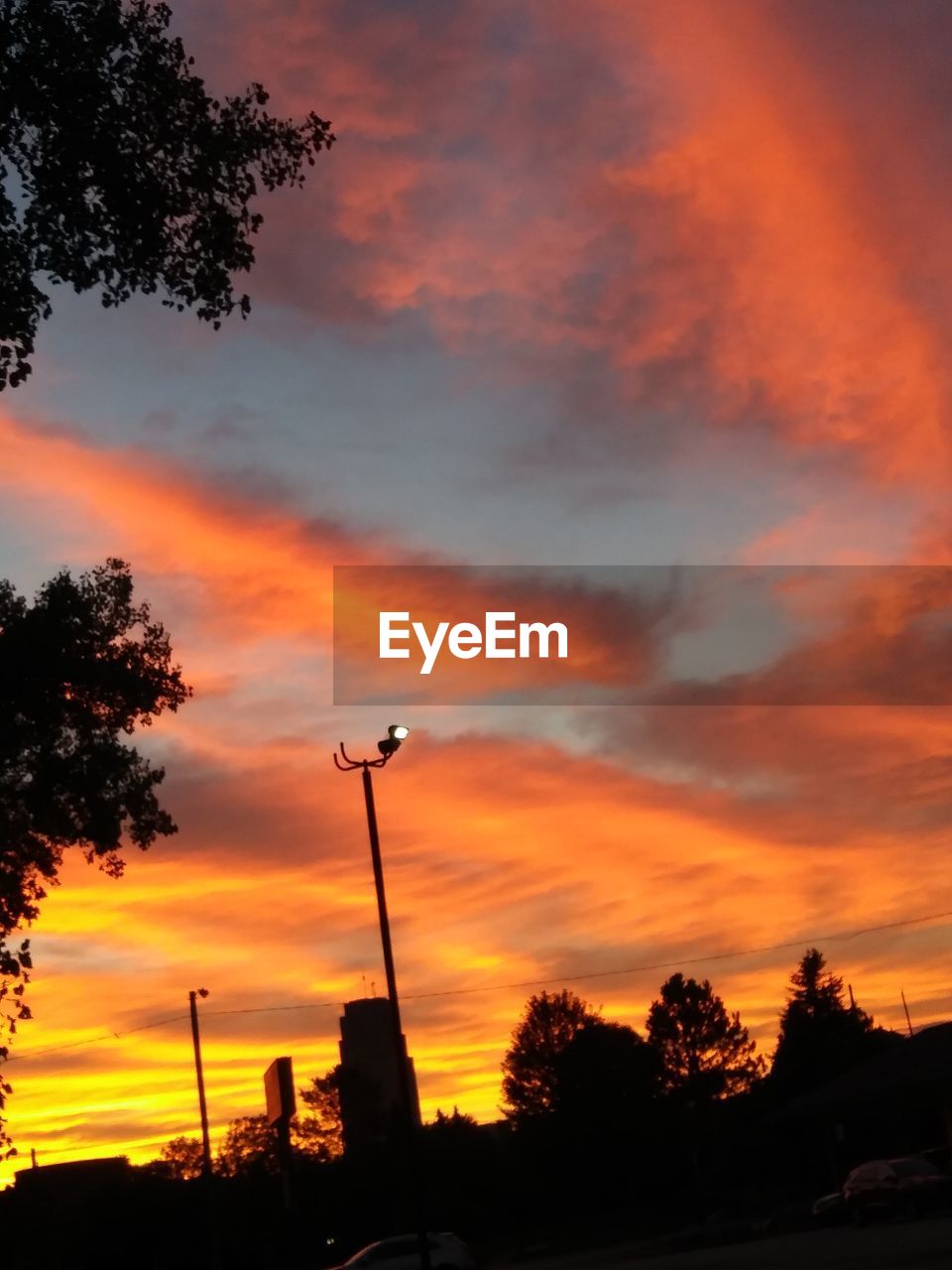 LOW ANGLE VIEW OF SILHOUETTE TREES AGAINST DRAMATIC SKY