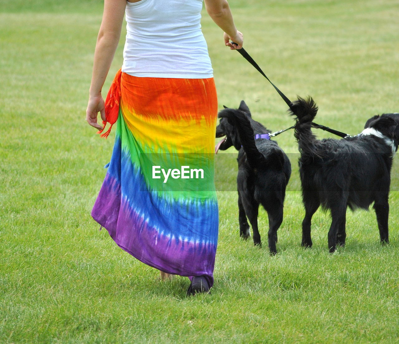 Female lesbian walking her dogs on gay/lesbians pride day in seattle, wa.