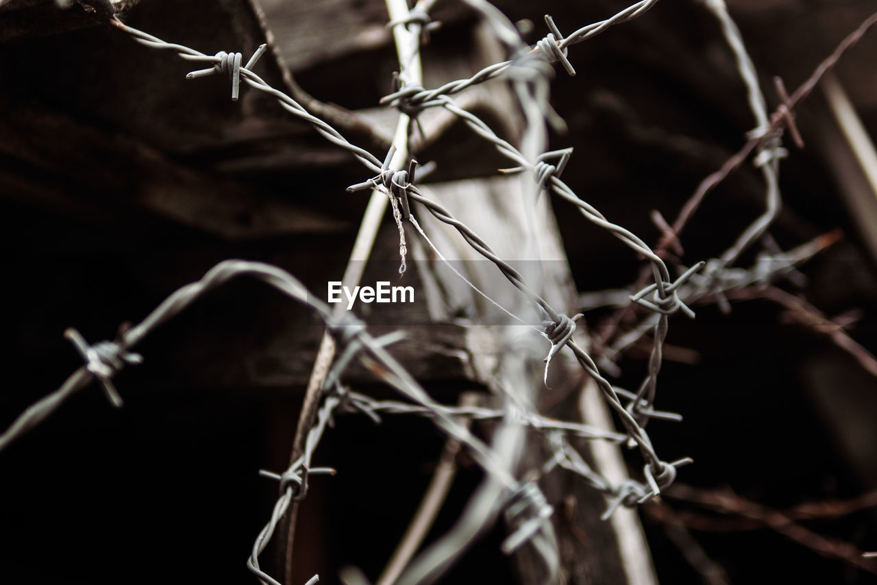 Close-up of barbed wires