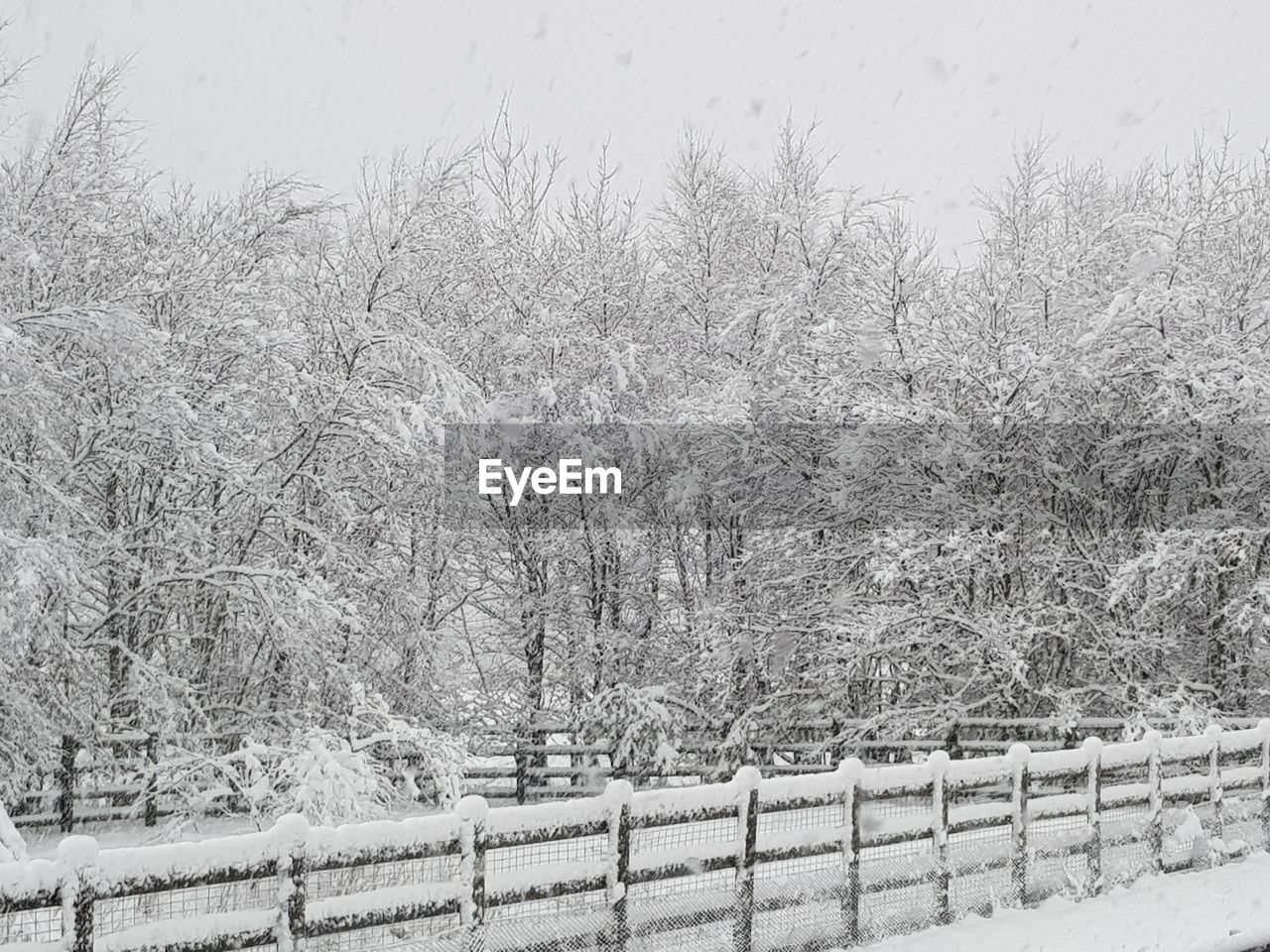 Snow covered field against sky