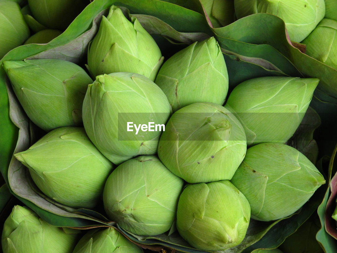 Full frame shot of green beans