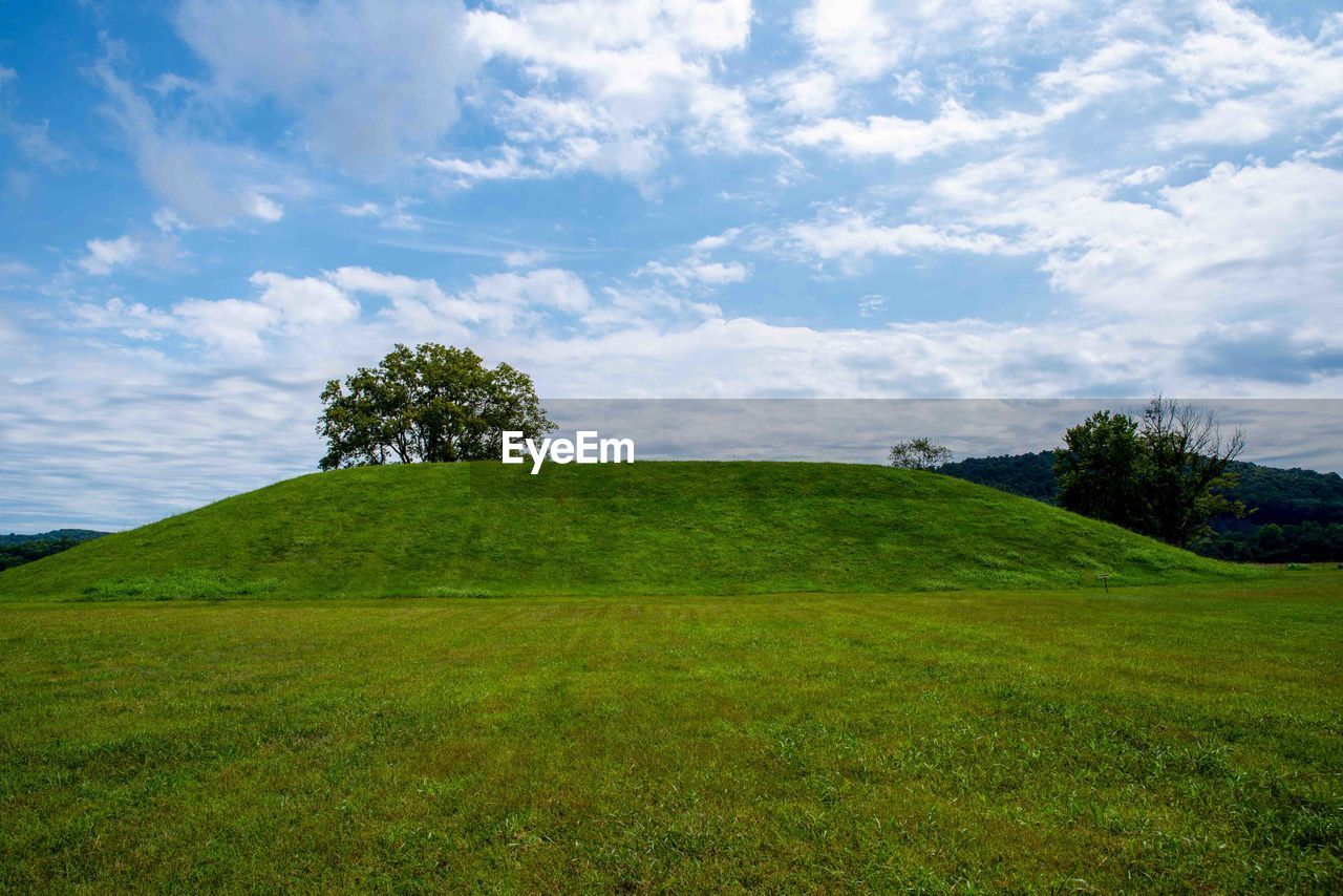 plant, sky, grassland, grass, hill, environment, cloud, landscape, green, horizon, nature, land, field, pasture, scenics - nature, beauty in nature, meadow, tree, plain, tranquility, prairie, no people, natural environment, tranquil scene, rural area, non-urban scene, blue, lawn, outdoors, rural scene, day, summer, plateau, travel, travel destinations, idyllic, golf, mound, grass area, tourism, golf course, activity