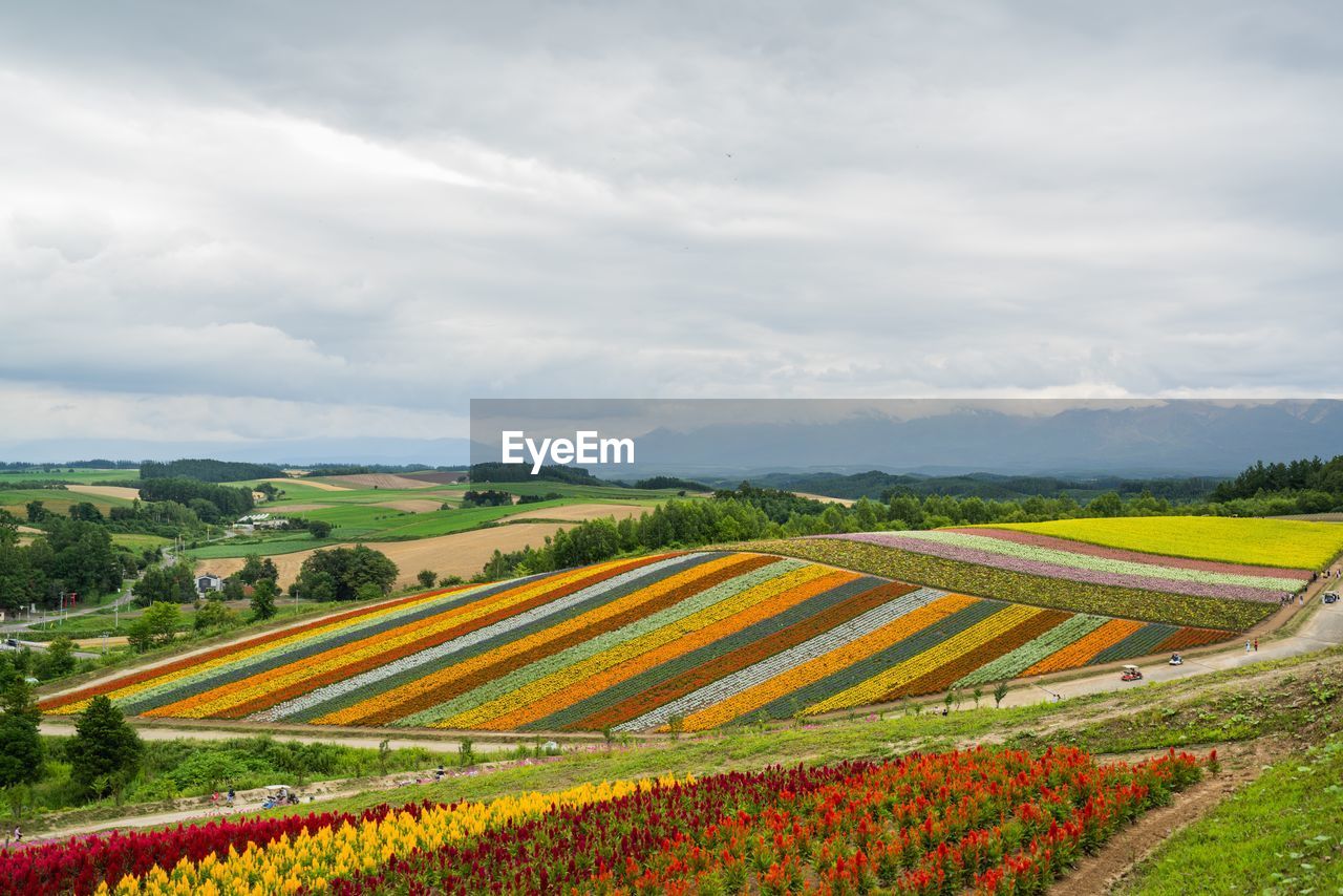Scenic view of agricultural field against cloudy sky