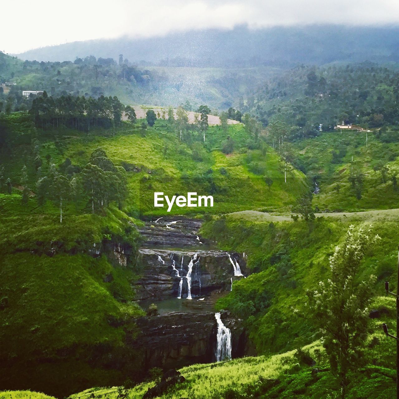 Scenic view of waterfall in forest