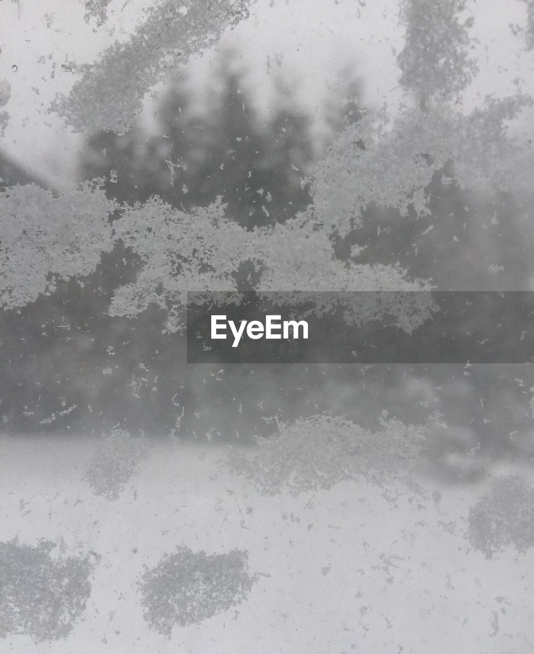 Snowflakes on glass window during winter