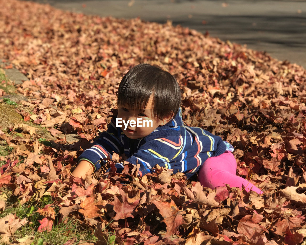 Portrait of girl playing leaves during autumn