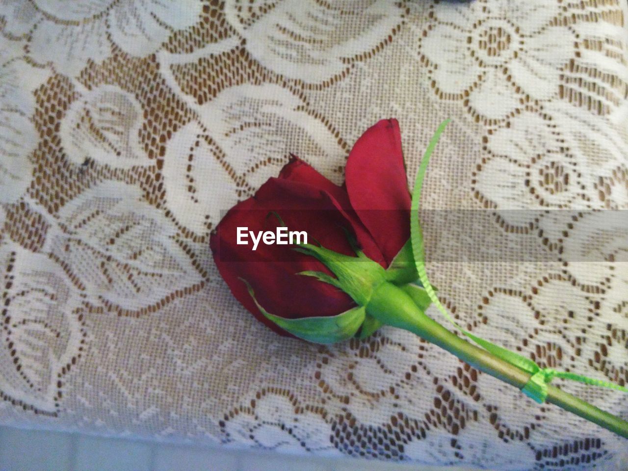 CLOSE-UP OF ROSES ON TABLE