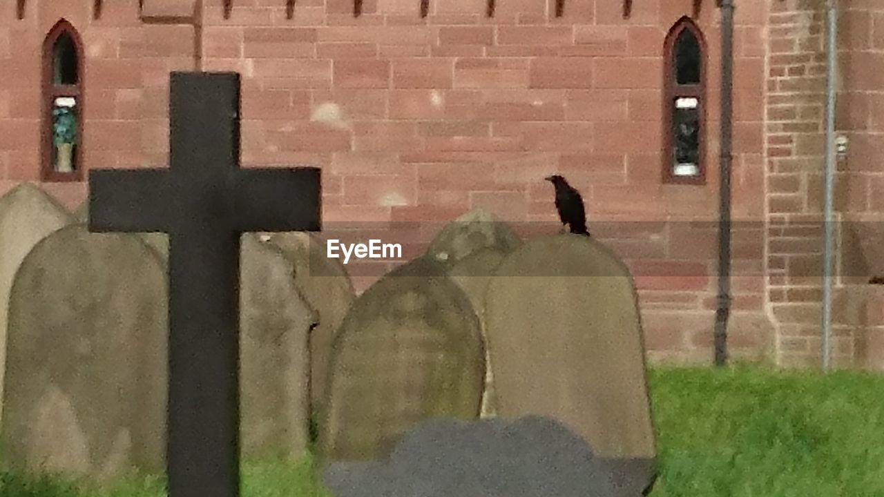 VIEW OF BIRD PERCHING ON STATUE