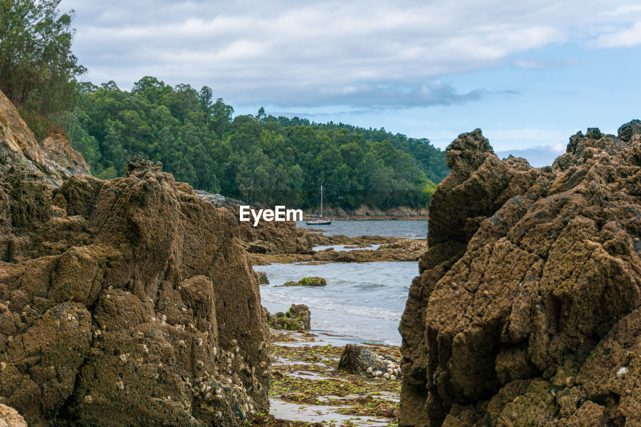 rock, nature, water, coast, sea, sky, environment, cliff, cloud, land, landscape, wilderness, geology, tree, terrain, shore, scenics - nature, plant, travel, beauty in nature, travel destinations, no people, mountain, beach, outdoors, tourism, tranquility, body of water, non-urban scene, animal wildlife, forest, social issues, day, activity