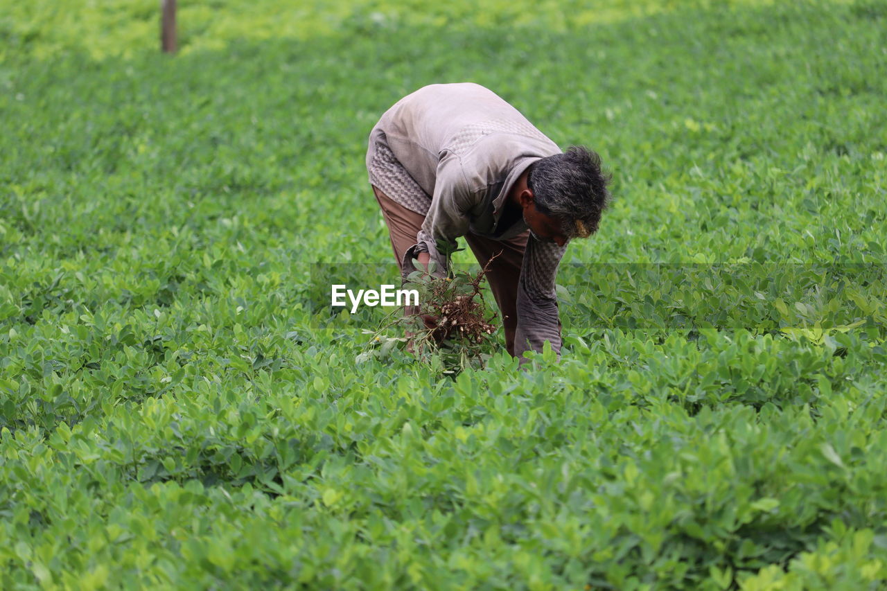 Man working on field