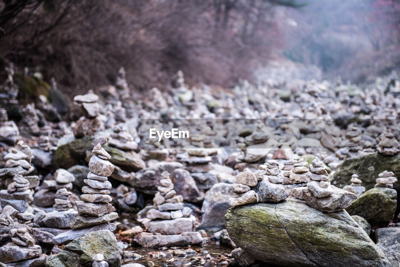 CLOSE-UP OF PEBBLES ON ROCKS