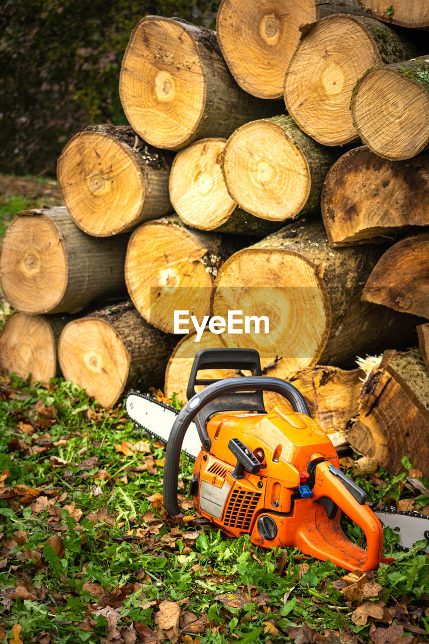 STACK OF LOGS ON FIELD