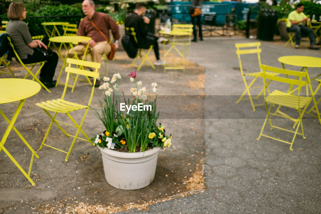 POTTED PLANTS ON TABLE AND CHAIRS AT CAFE