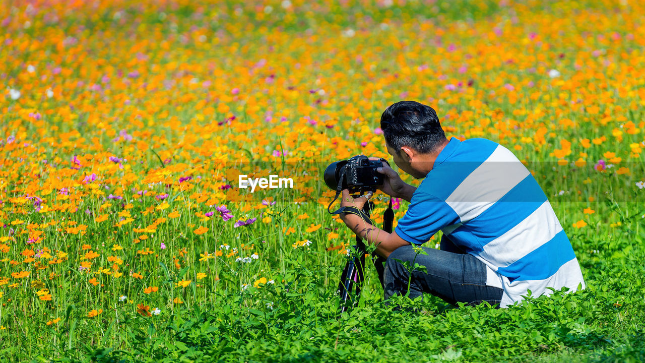 Rear view of man photographing on flowers on field