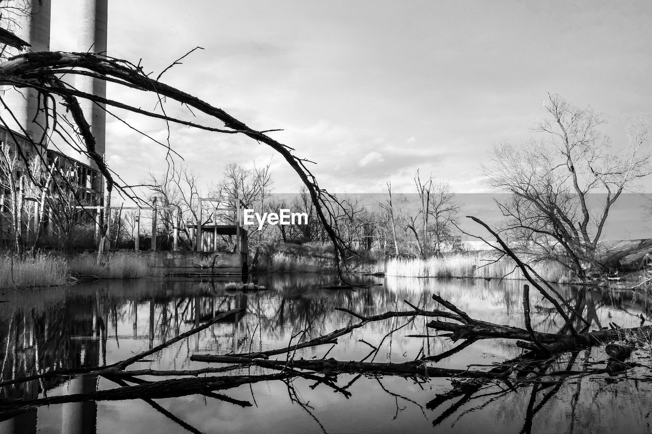 Bare trees by lake against sky