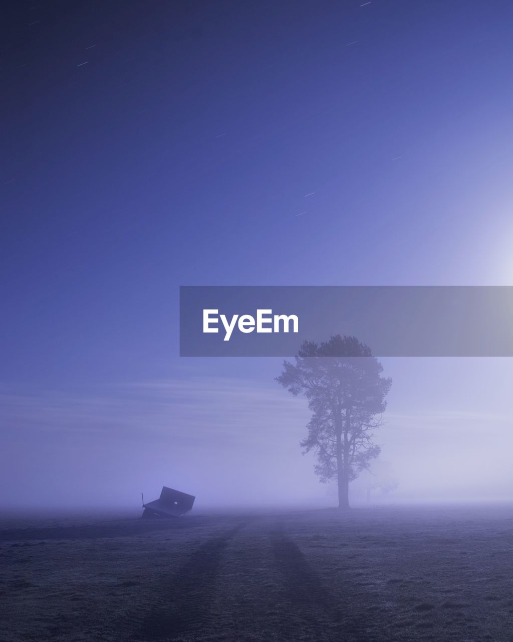 Silhouette trees on field against sky during foggy weather