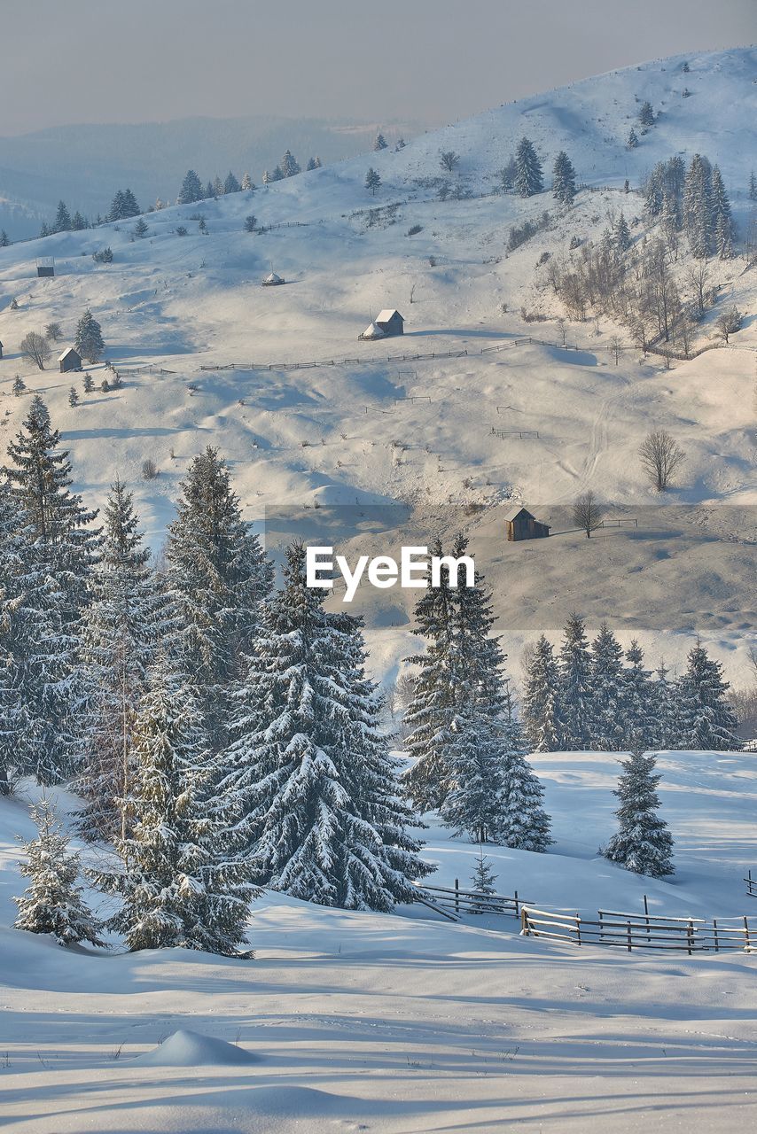 Scenic view of snow covered landscape