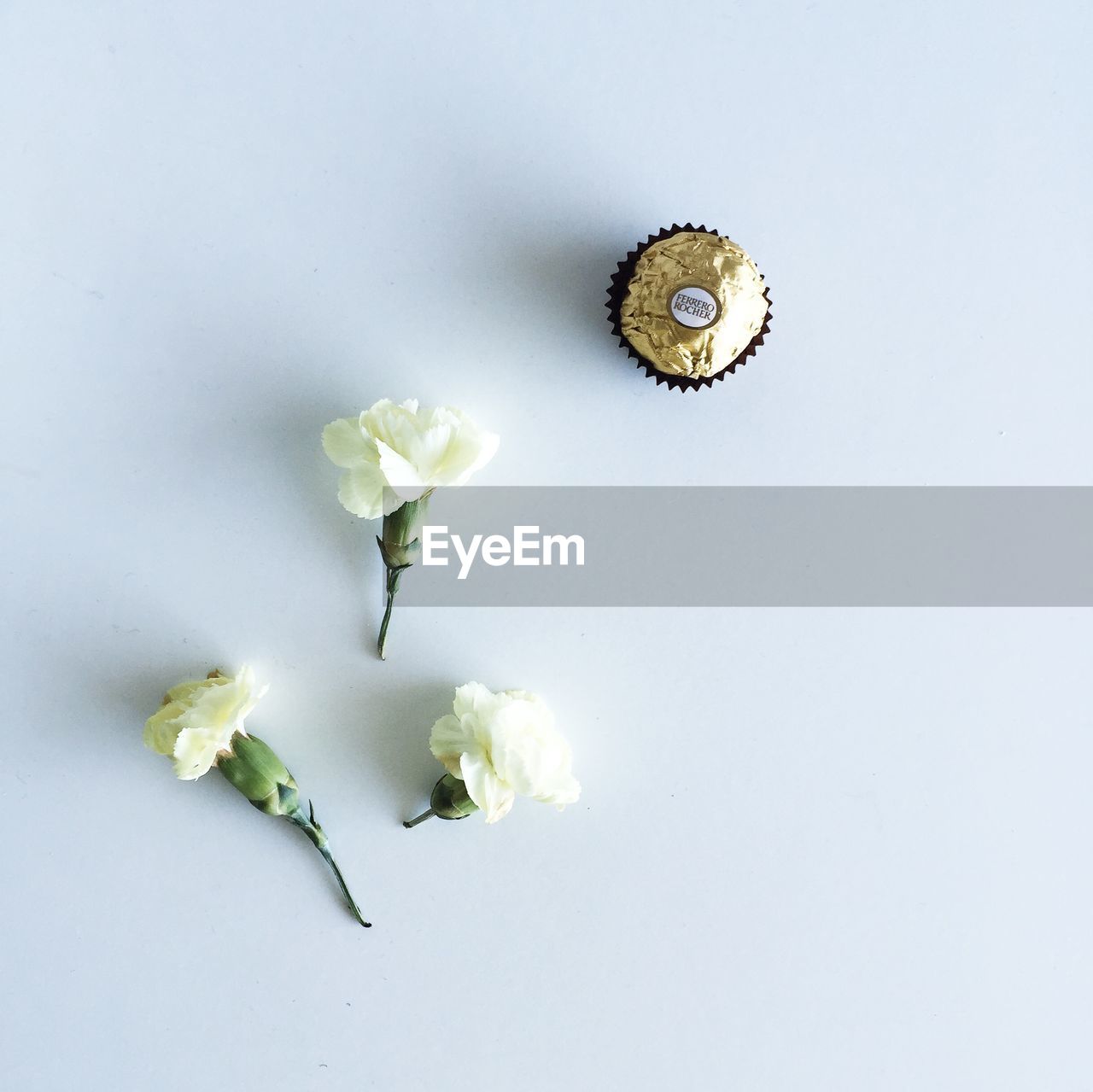 CLOSE-UP OF WHITE FLOWERS OVER WHITE BACKGROUND