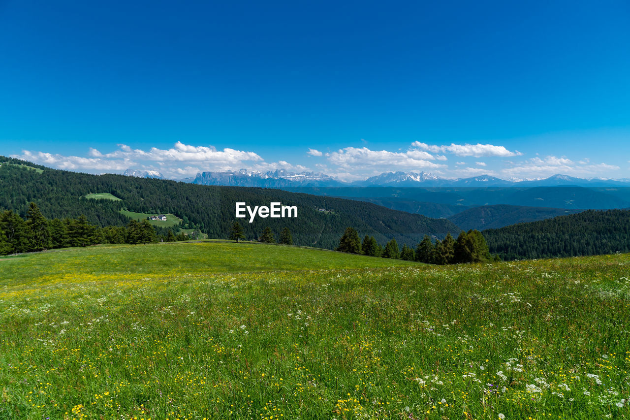 Scenic view of landscape and mountains against blue sky