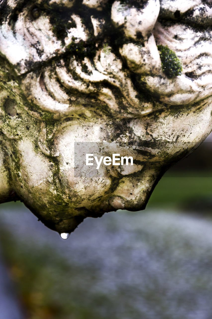 CLOSE-UP OF STATUE AGAINST TREE