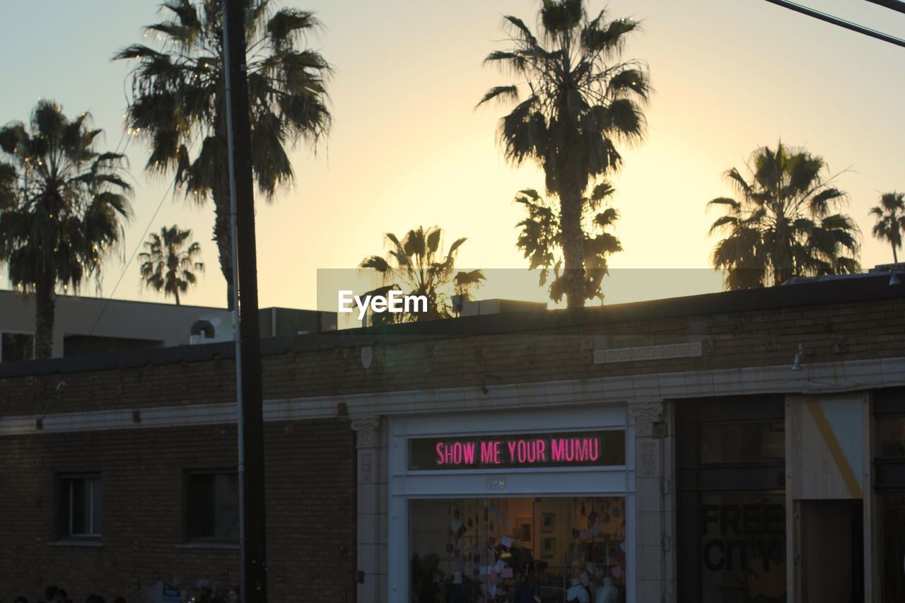 PALM TREES AGAINST BUILDING